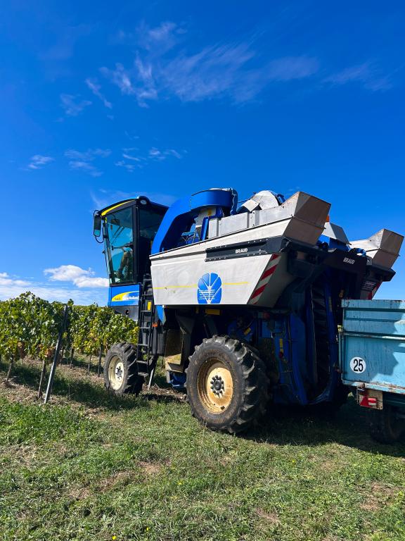 Le temps des vendanges : aux racines du savoir-faire Lise Baccara